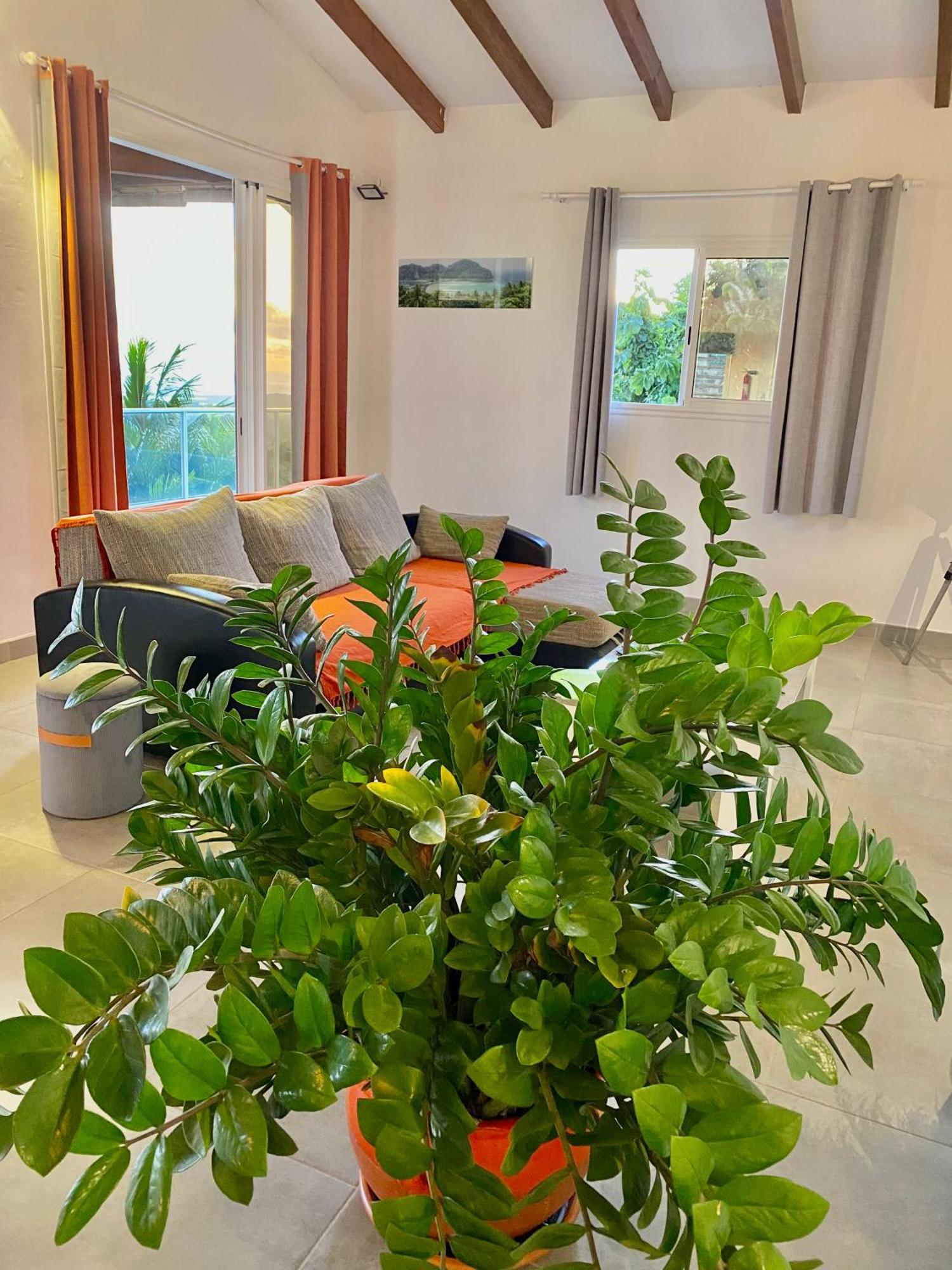 Les Villas Pameyaque 2 F2 Avec 1 Piscine Et 1 F3 Avec 1 Piscine, Superbe Vue Sur La Mer Riviere-Salee Dış mekan fotoğraf